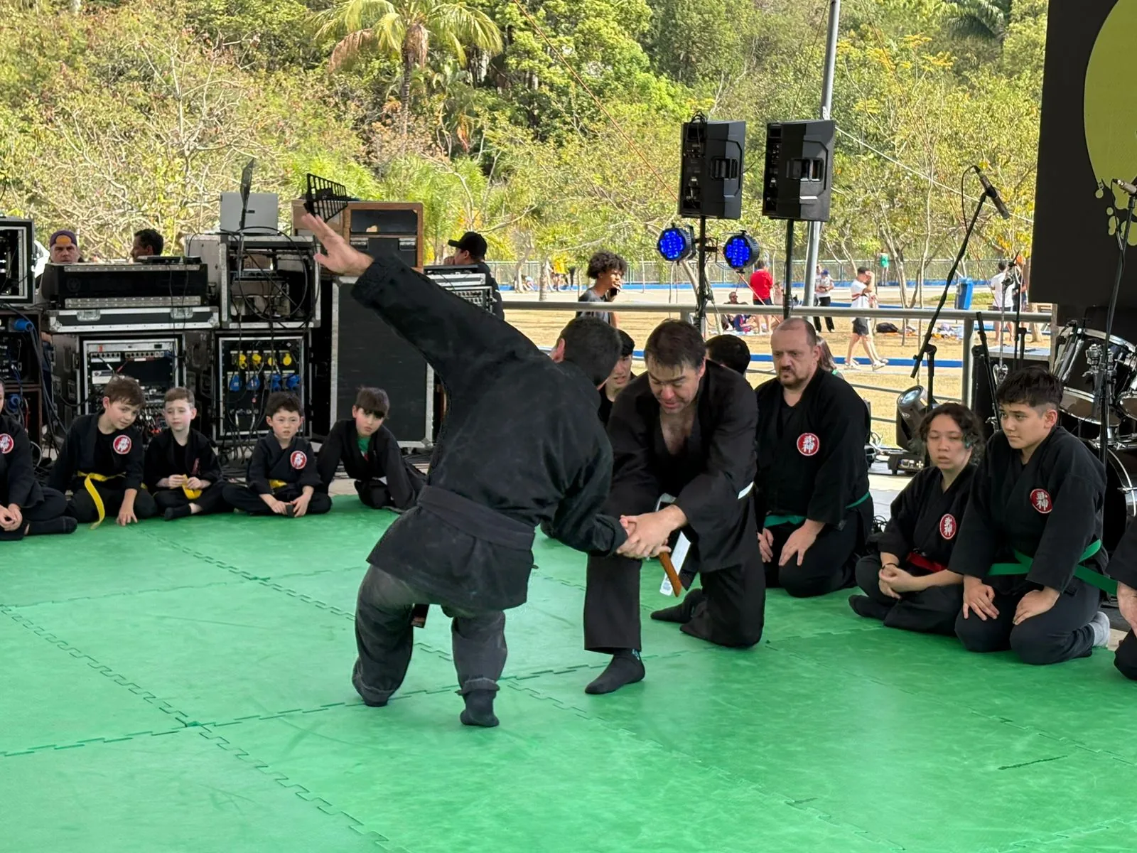 Bujinkan Budo Taijutsu
