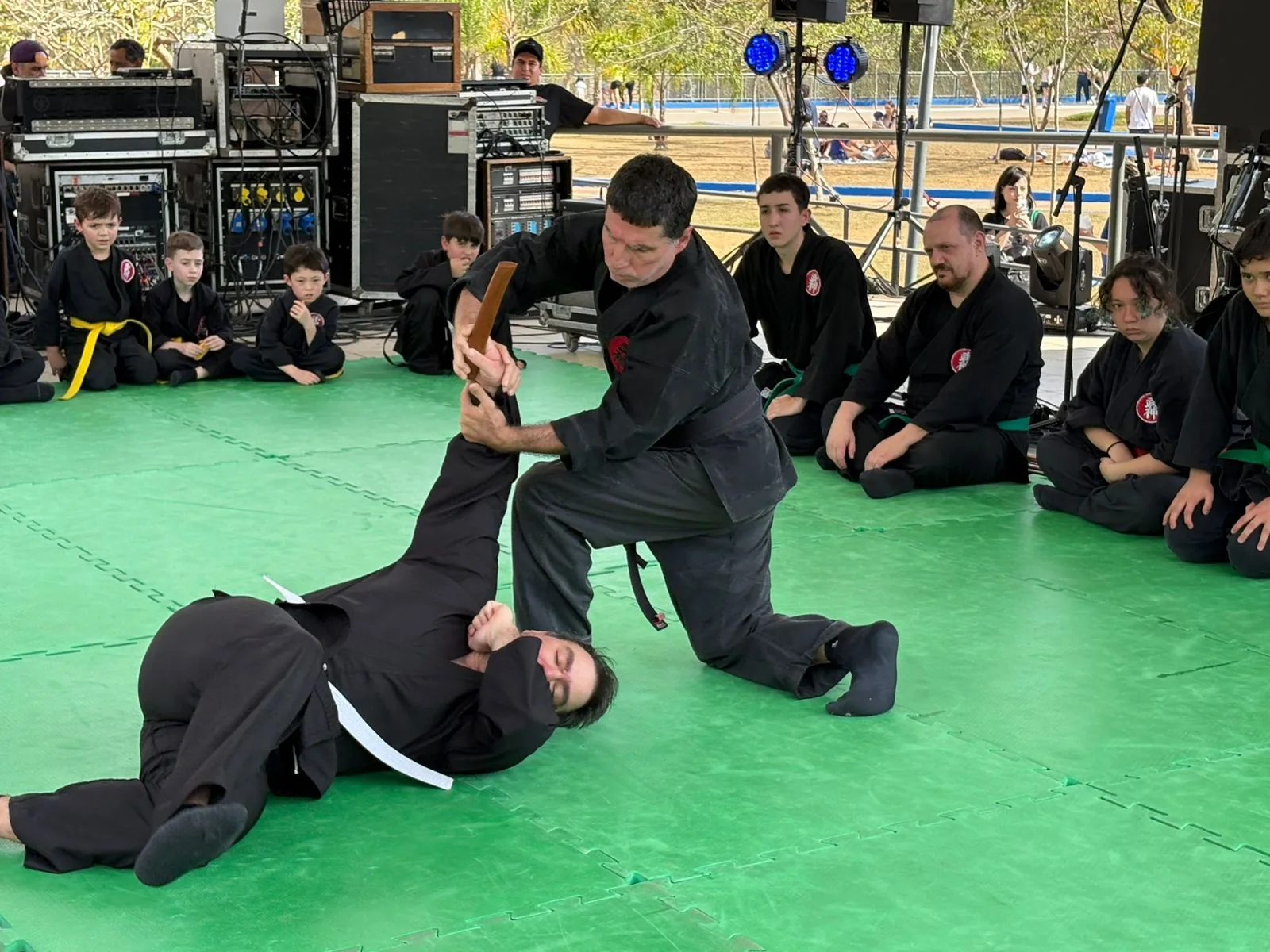 Bujinkan Budo Taijutsu